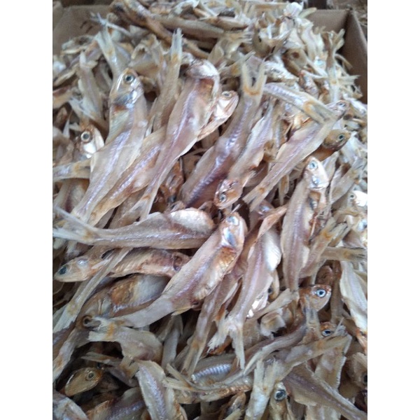 

ikan tawar katak 250 40rb