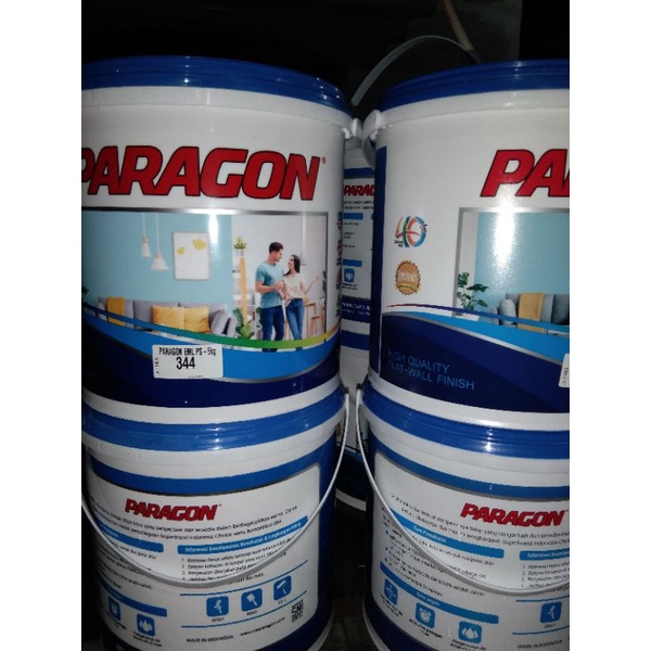 CAT PARAGON 5KG