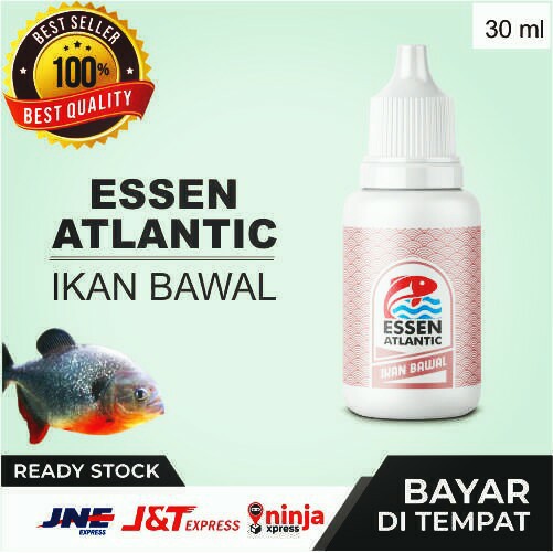 Essen atlantik ikan Bawal 30 ml/ Essen galatama / Essen Ikan Bawal/ Essen Oplosan / Essen Lomba