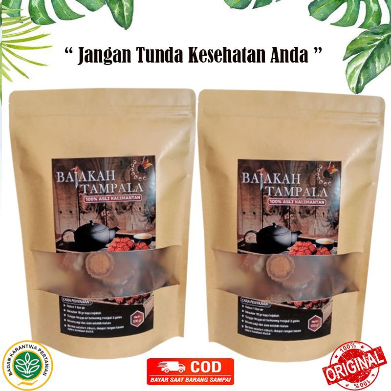 

COD Akar Kayu Bajakah Tampala Asli Kalimantan 1 KG