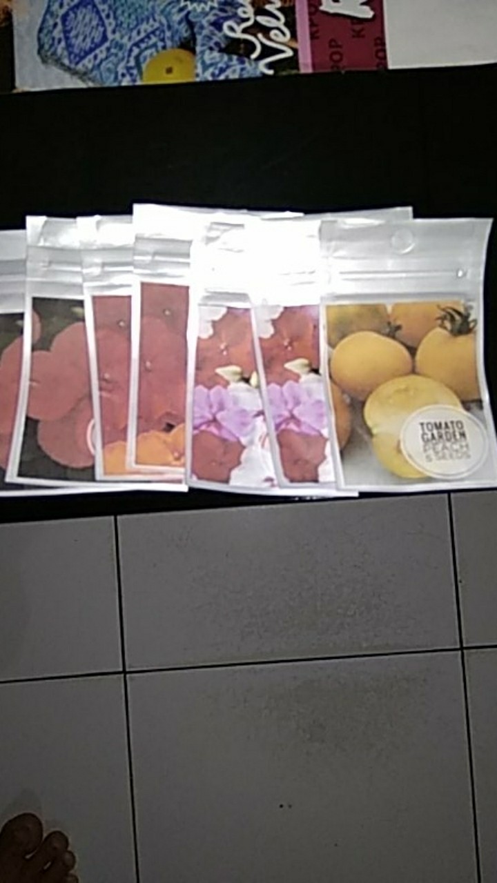 Impatiens Dwarf Baby Orange 10 Biji (benih Biji Bibit Tanaman Bunga)