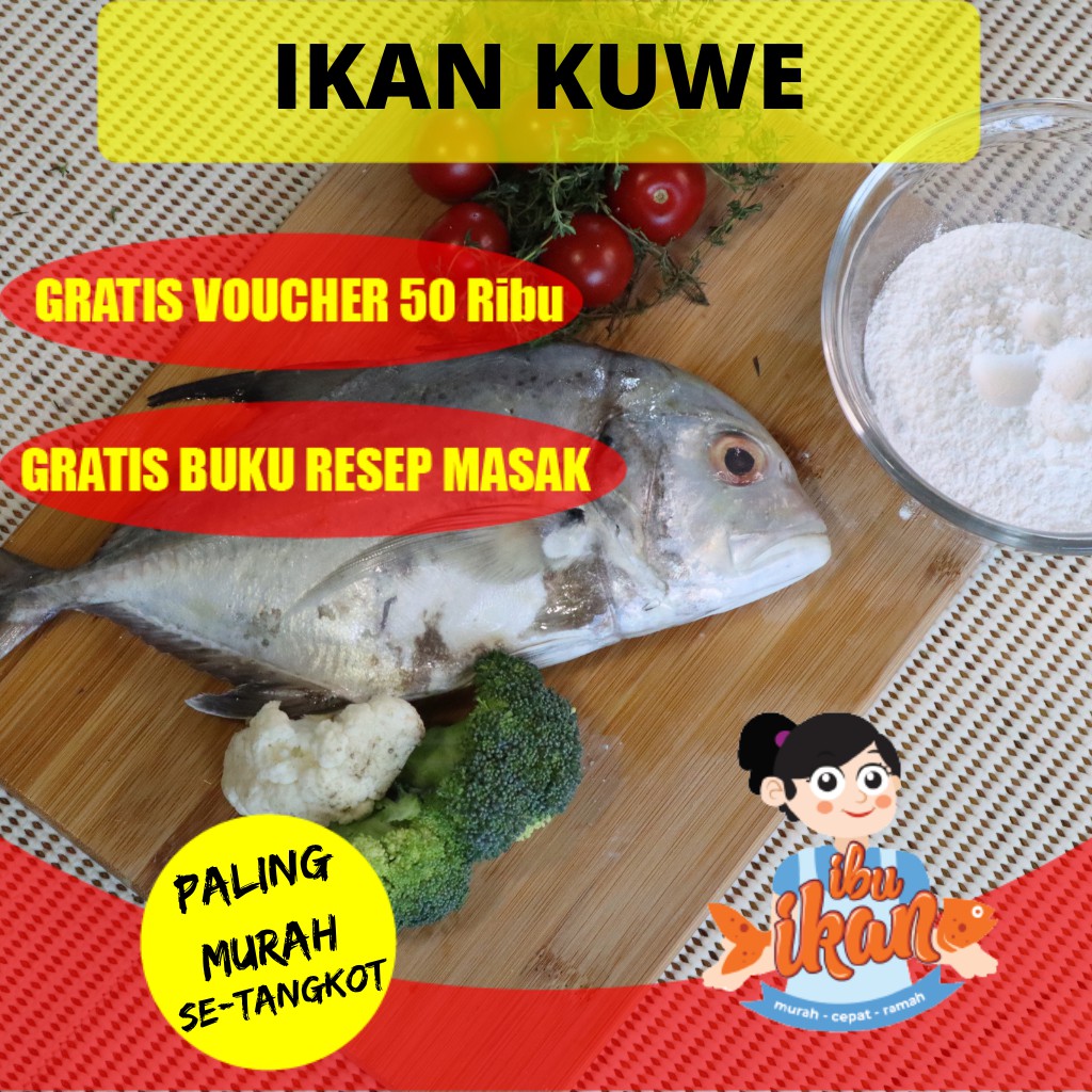 IKAN KUWE SEGAR LAUT FRESH 500 GRAM (+/-) UNTUK BAKAR RICA RICA