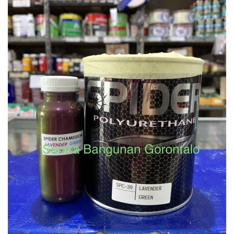 Cat Spider bunglon Chameleon Lavender Green SPC 39