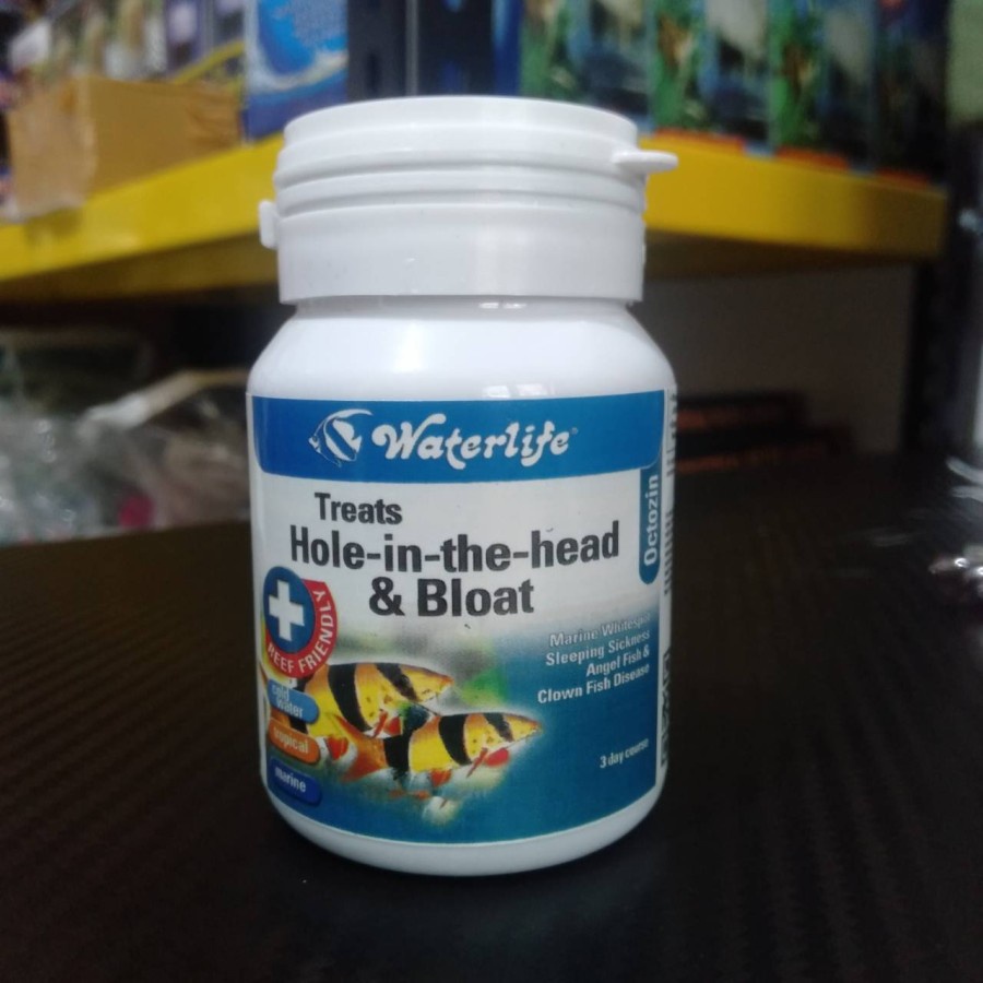 OCTOZIN obat HITH &amp; Bloating (ori Waterlife)