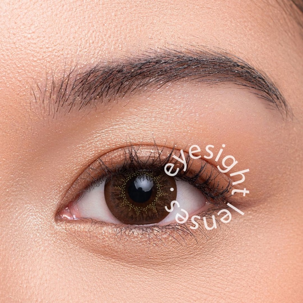 EYESIGHT - Softlens EOS Luna Brown