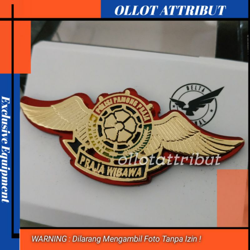 Wing Satpol pp | Wing Pol pp