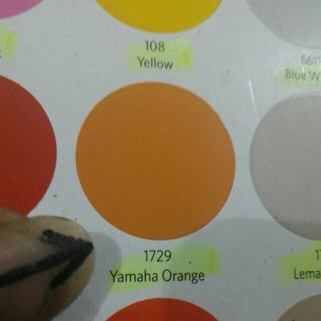  Warna  Cat  Rumah  Orens