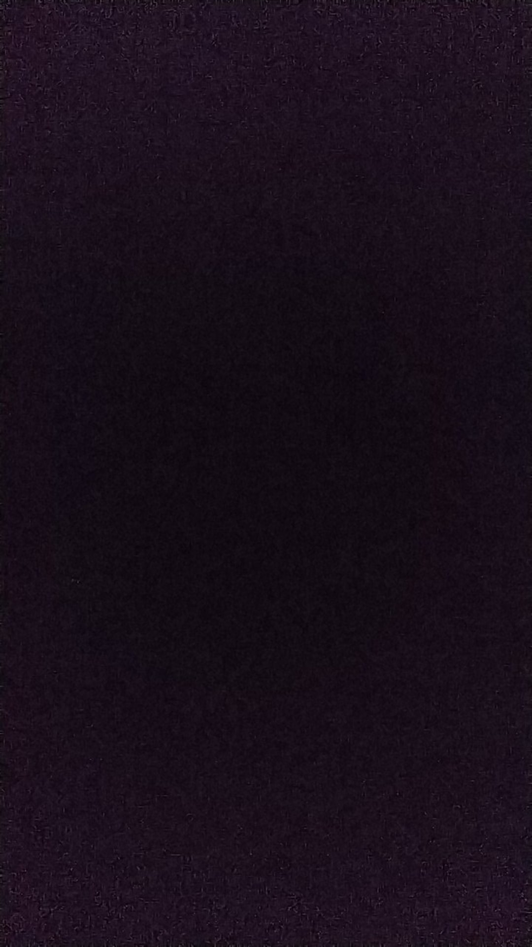 Wajan Kuali Besi Bima Tutup Kaca 26cm Lapisan Anti Lengket Wok Kualitas Export Ns049