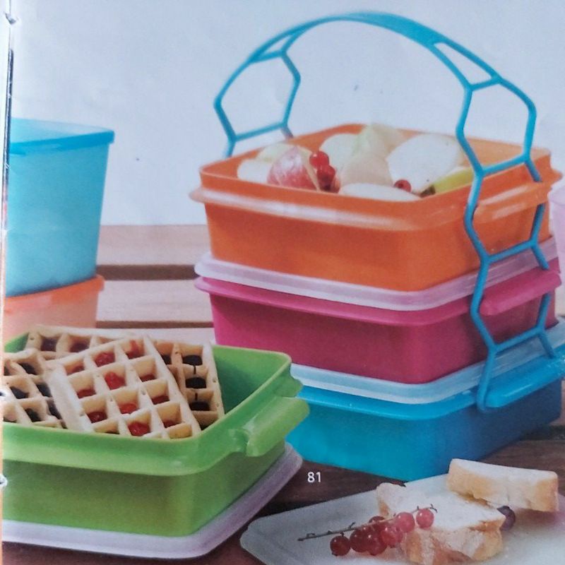carry all set tupperware