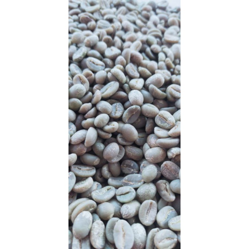 

biji arabica kintamani