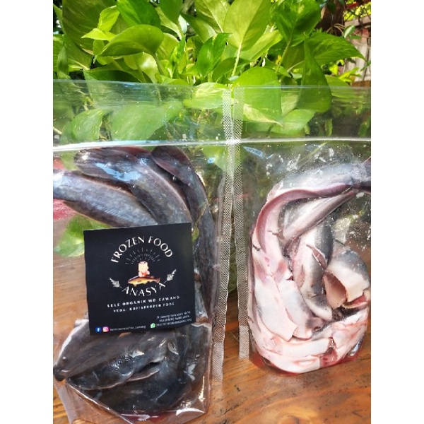 

ikan lele tanpa bumbu s(frozen) 500 gram sudah di bersihkan