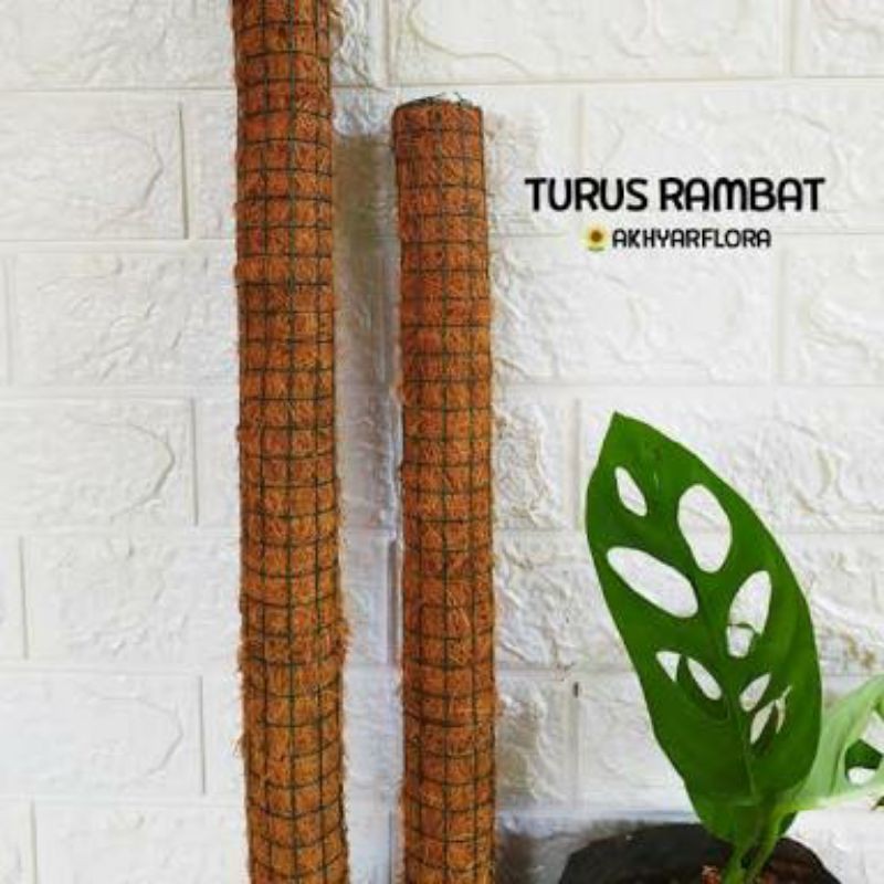 TIANG TURUS//TURUS//PENYANGGA