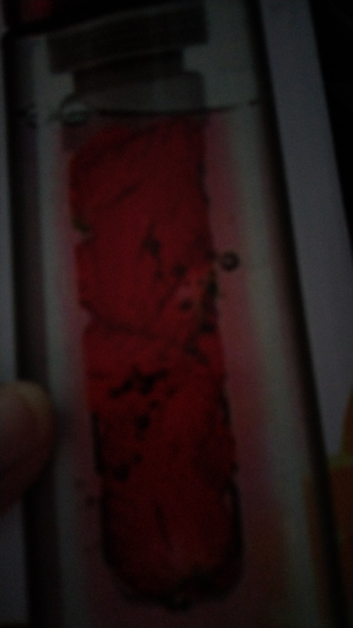 Home-klik  Tritan Water Bottle With Fruit Infuser - Random