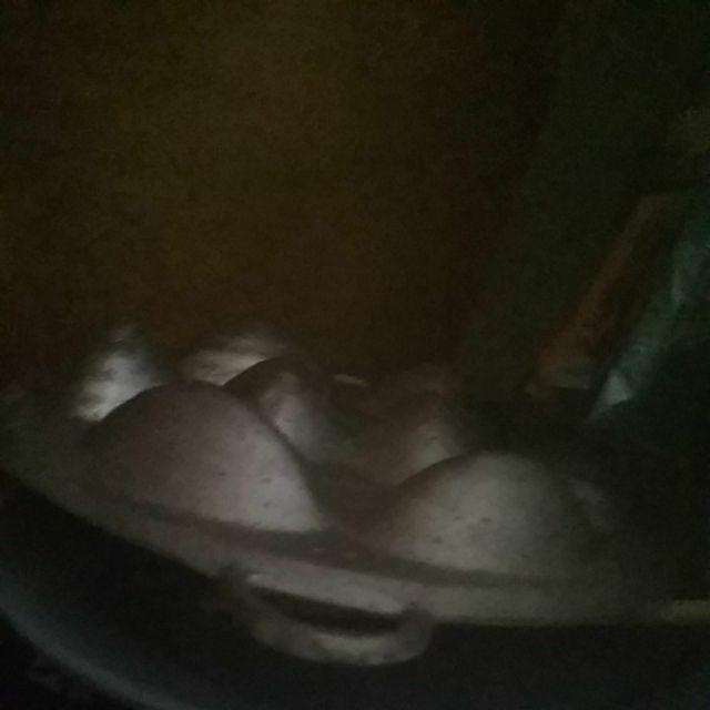 Cetakan Kue Cubit - 8 Lubang