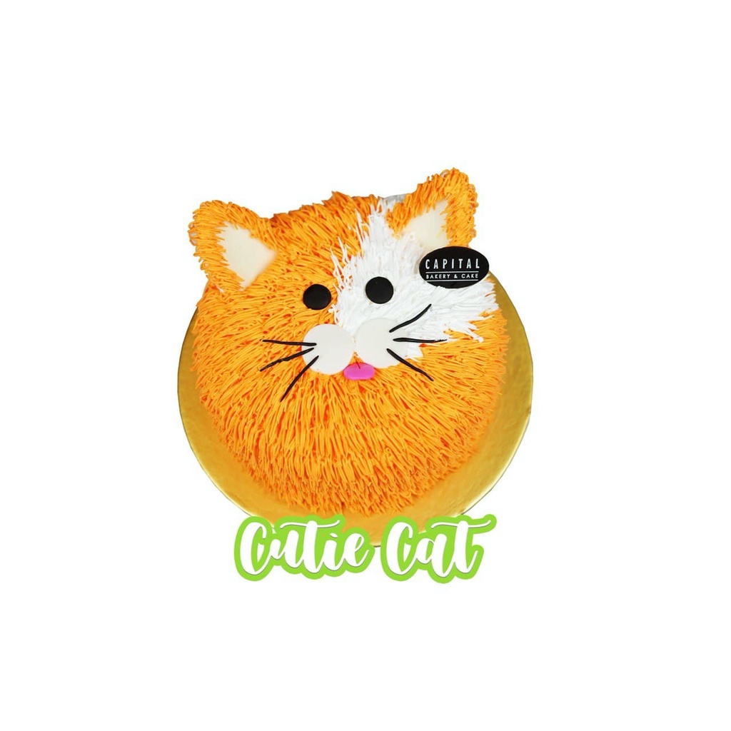 

Animal Cake/Cake Hewan/Kue Ultah Anak/Cake Karakter/Cake Kucing/Cutie Cat
