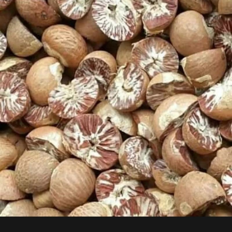 

buah pinang herbal