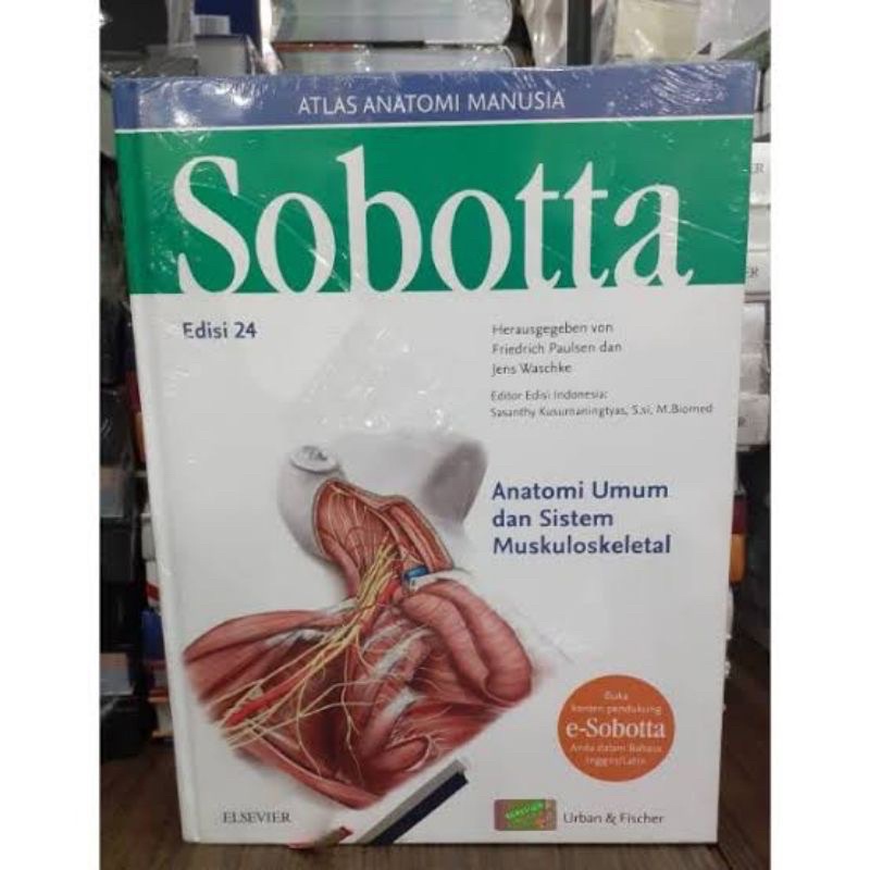 sobotta edisi 24