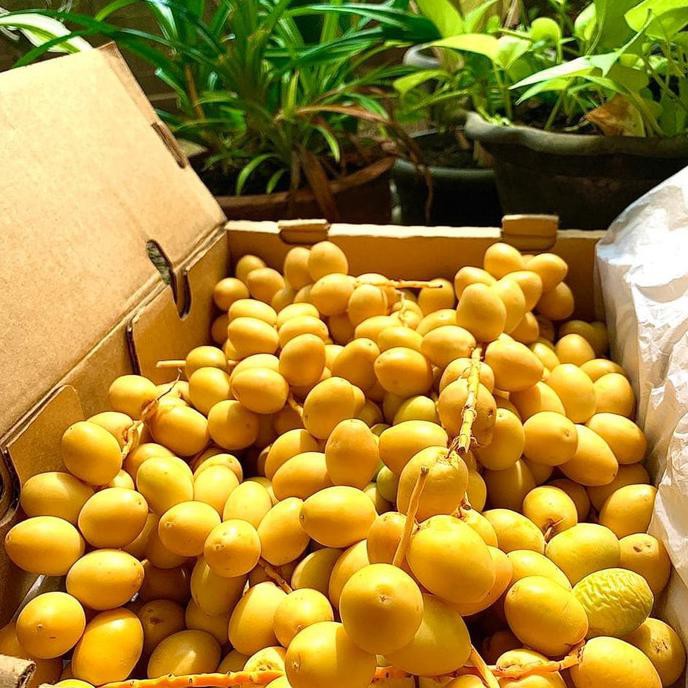 

Kurma Muda Premium 1 Kg Arkanamarketht