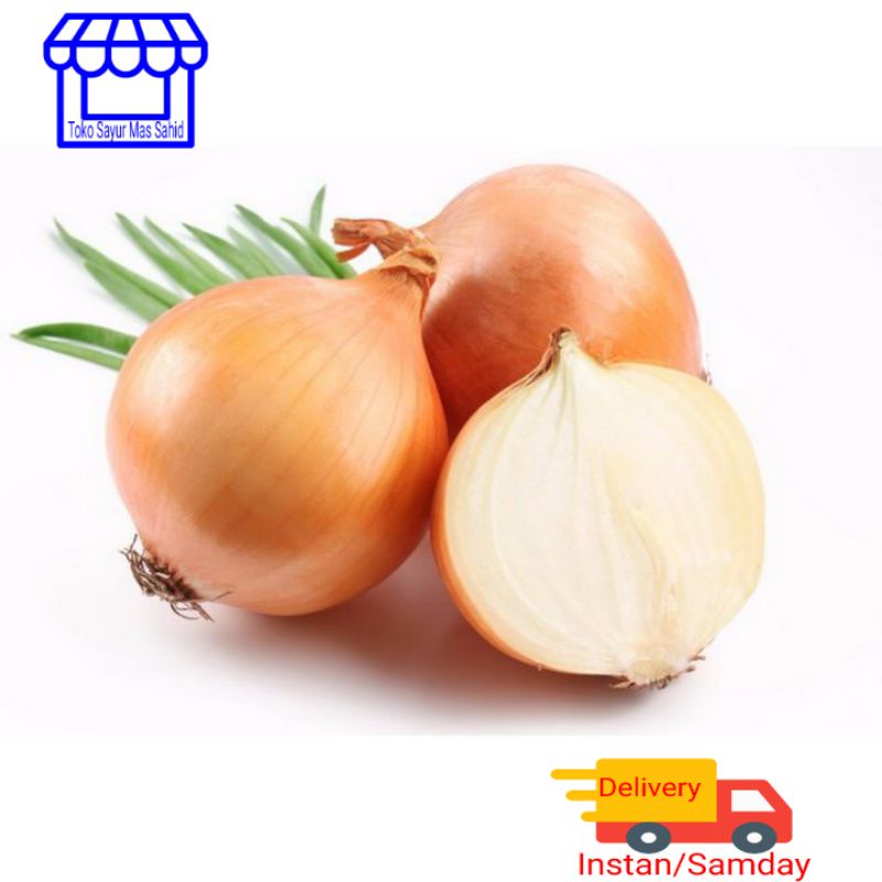 

Bawang Bombay Pilihan Bombai Segar Kirim instan & Someday