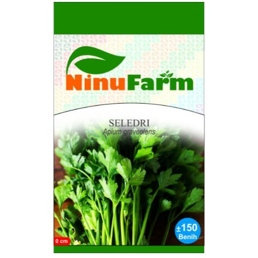 Benih Biji Seledri - Ninu Farm