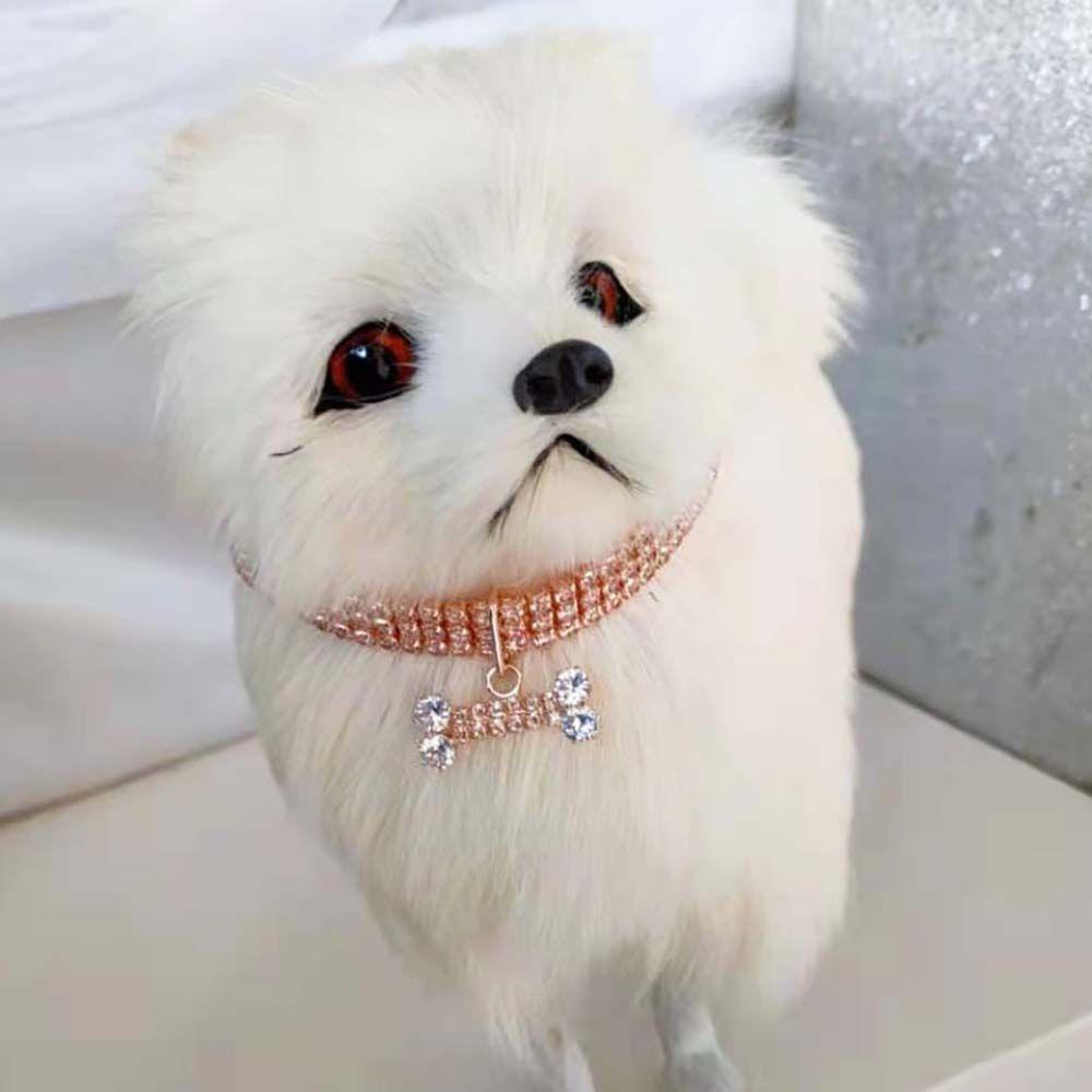 Nickolas1 Pet Kerah High-end Fashion Perhiasan Rantai Anjing Zirkon Tulang Puppy Aksesoris Perlengkapan Hewan Peliharaan