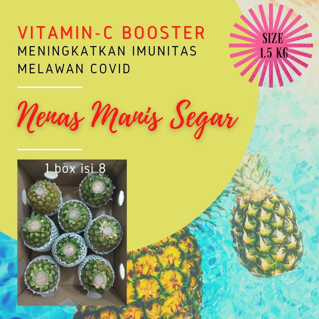 

Nenas Honi Sunpride segar dari kebun