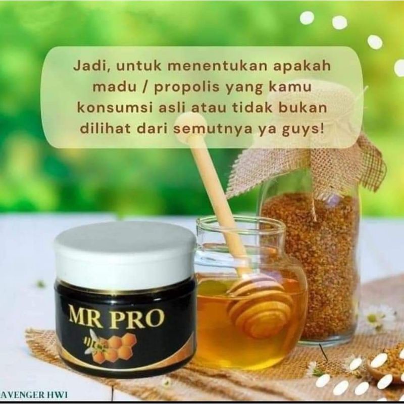 

COD Mr Pro Madu HWI Original Pengemuk Badan Penambah Nafsu Makan Aman Hallal