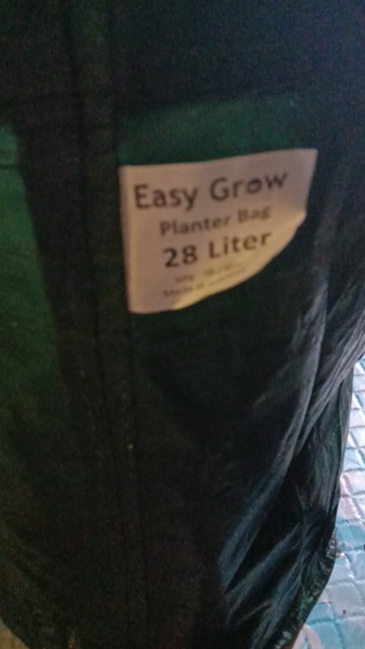 Planter Bag 28 Liter Hijau Easy Grow