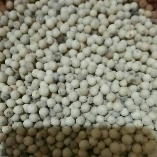 

Merica/ lada putih 100 gram
