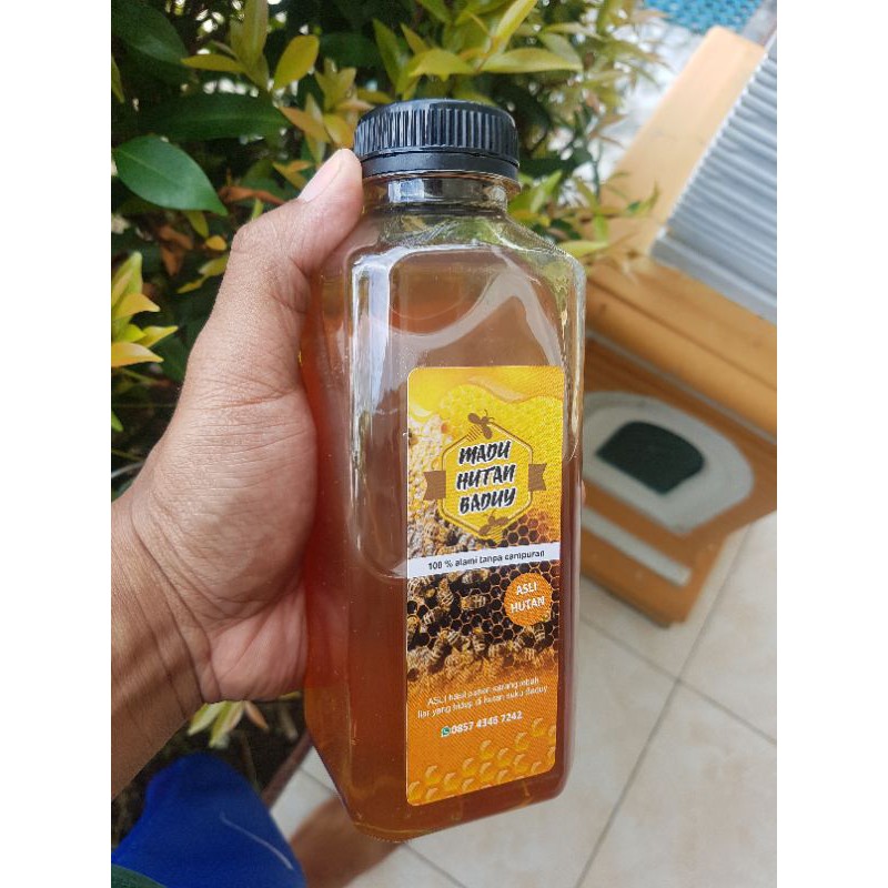 

MADU MURNI HUTAN