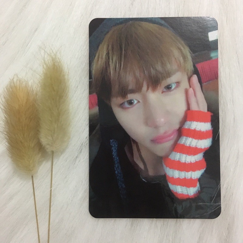 [Ready Stock] Official BTS PC / photocard V / Kim Taehyung Album YNWA