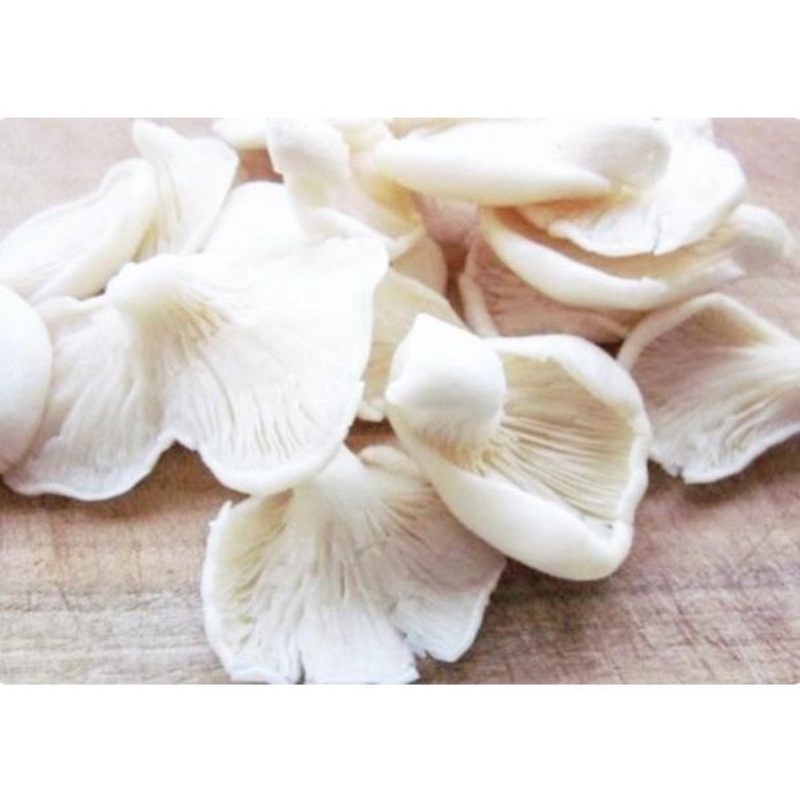 

JAMUR TIRAM PER 500 GRAM