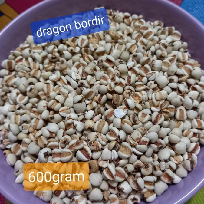 

Biji Jali Jali Super 500Gram/ Barley Super 500Gram