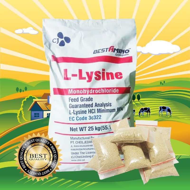 LYSINE MINI - Vitamin Sapi Kambing Babi Penggemuk Sapi Kambing Babi Penambah Nafsu Makan &amp; Stamina