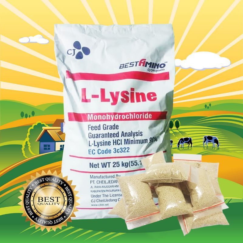 LYSINE MINI - Vitamin Ayam Aduan Penguat Tulang Ayam Aduan Penambah Stamina Ayam Petarung