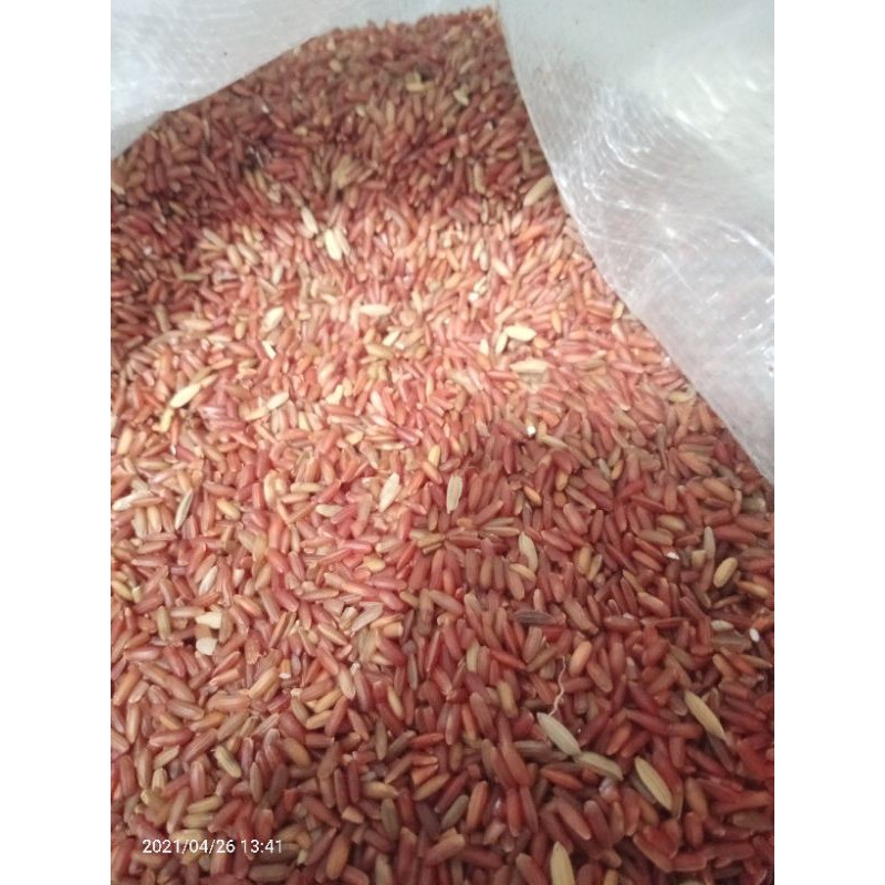 

BERAS MERAH BERAS PAKAN AYAM BERAS DIET 1 KG