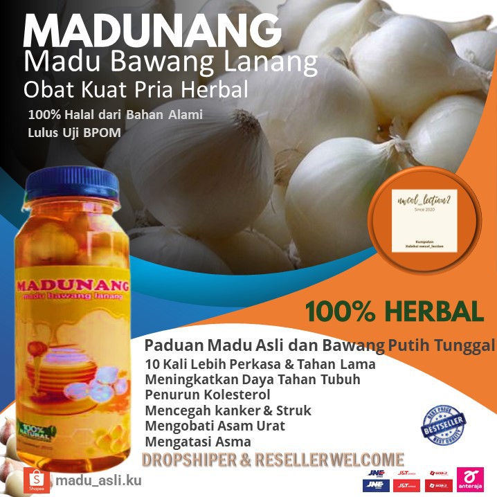 bawang dayak untuk obat kuat