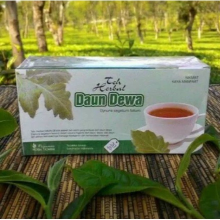 Teh Celup Daun Dewa Obat herbal khasiat ampuh melancarkan peredaran darah dan stroke dengan teh daun dewa original alami ASLI 100% HERBAL