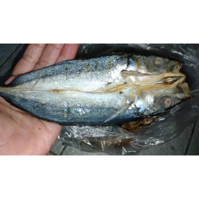 

Ikan serai Belah