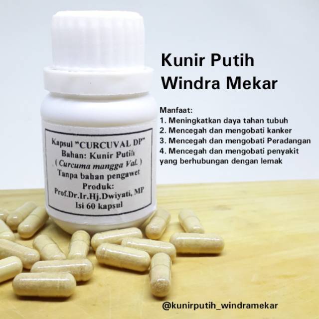 

KAPSUL KUNIR PUTIH WINDRA MEKAR UNTUK KANKER, MAAG, ASAM URAT