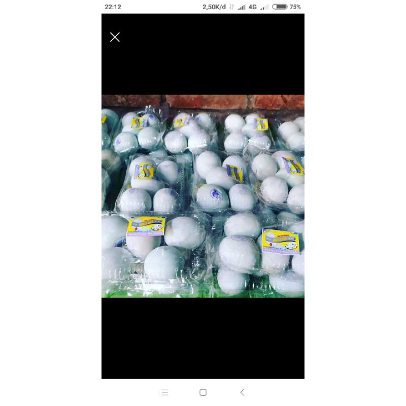 

telur asin