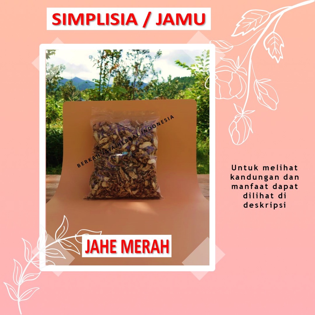 

Jahe Merah bahan Jamu godok rebus simplisia imun booster
