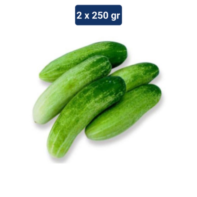 

timun segar 250gr