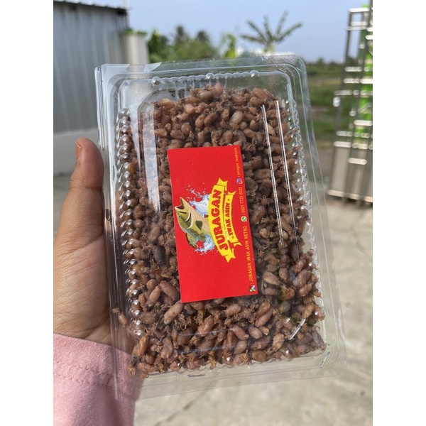 

baby cumi super small / cumi asin baby / kemasan 200 gram / juragan iwak asin