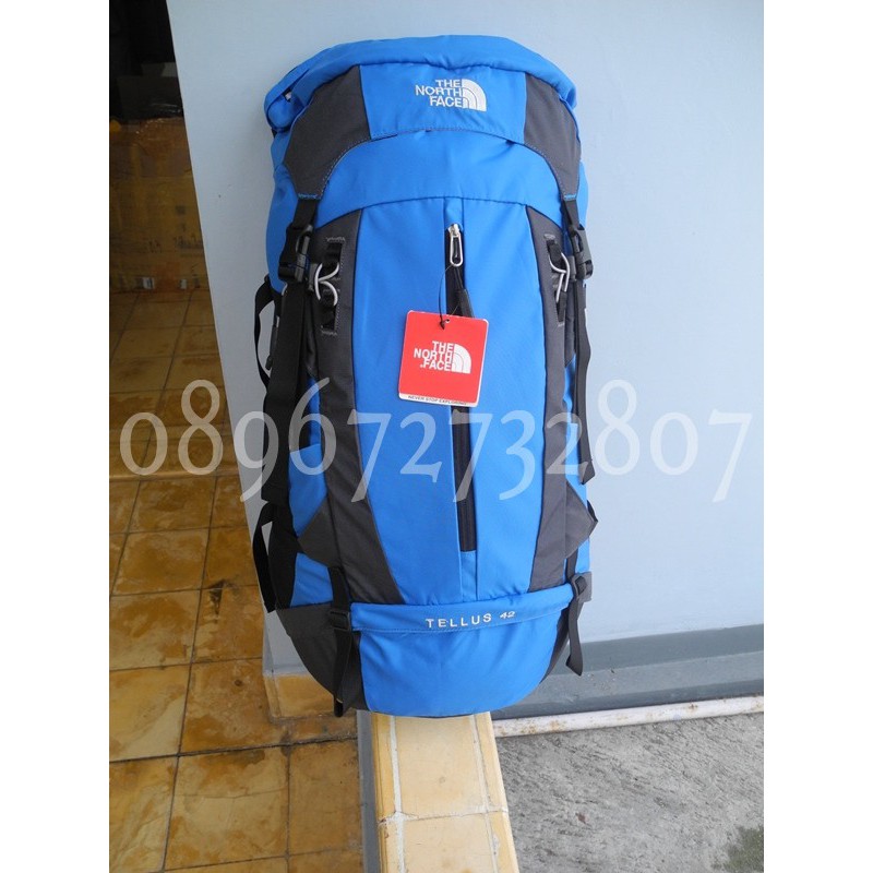 the north face carrier