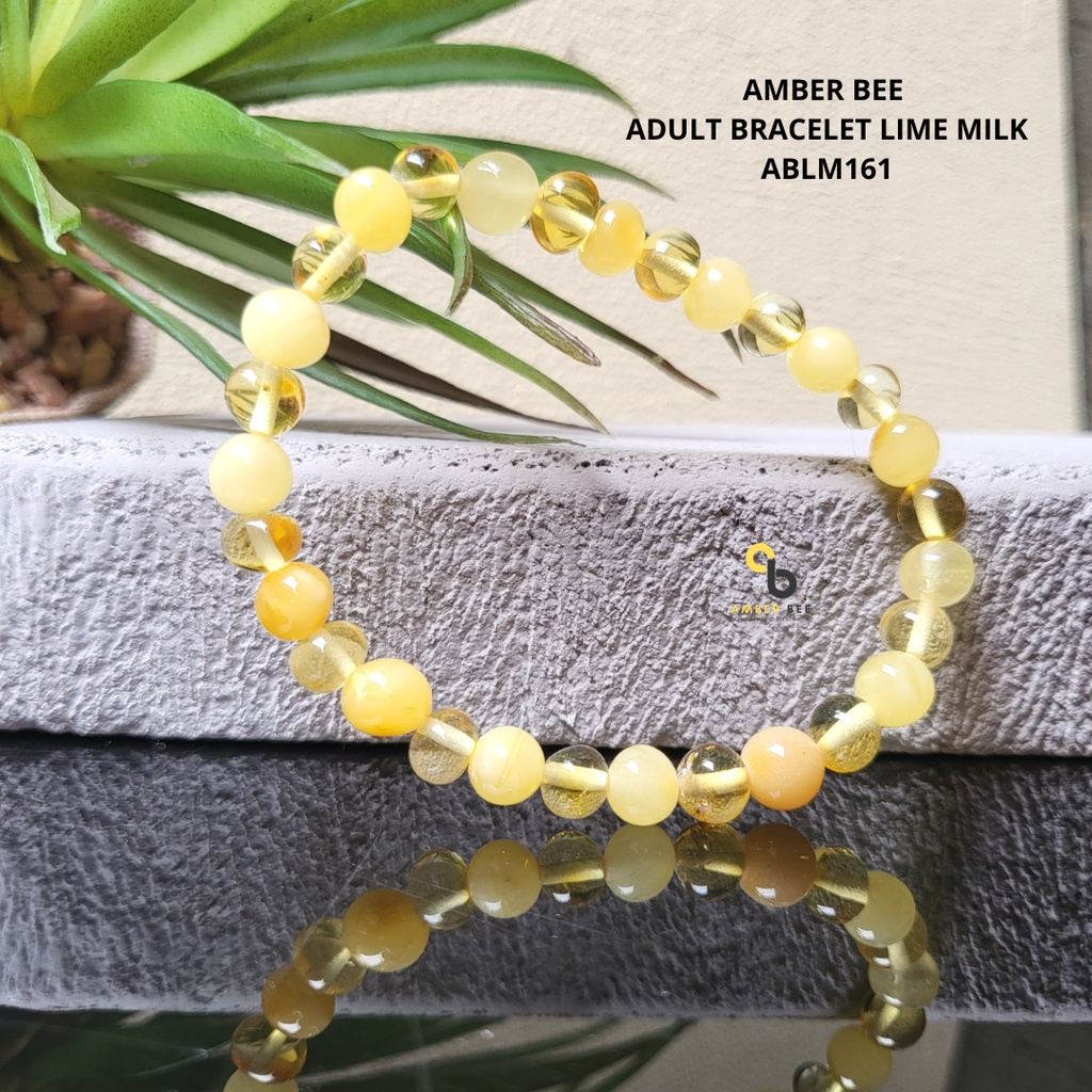 Gelang Amber Baltic Dewasa Premium Mix Two Colors ABLM161 By Amber Bee