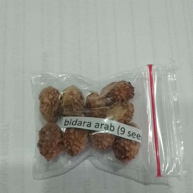Biji Benih Buah Bidara Arab 5 Biji