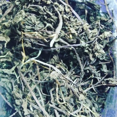 

Daun Mint Kering / Pure Dried Mint Leaves - 500 gram