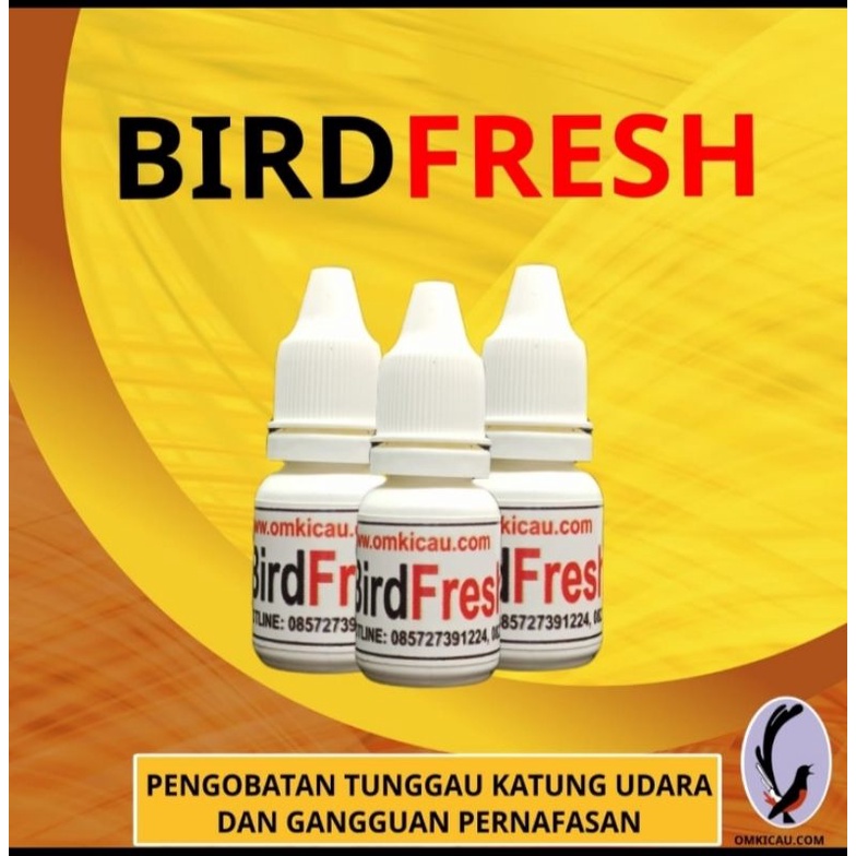 BIRD FRESH OM KICAU