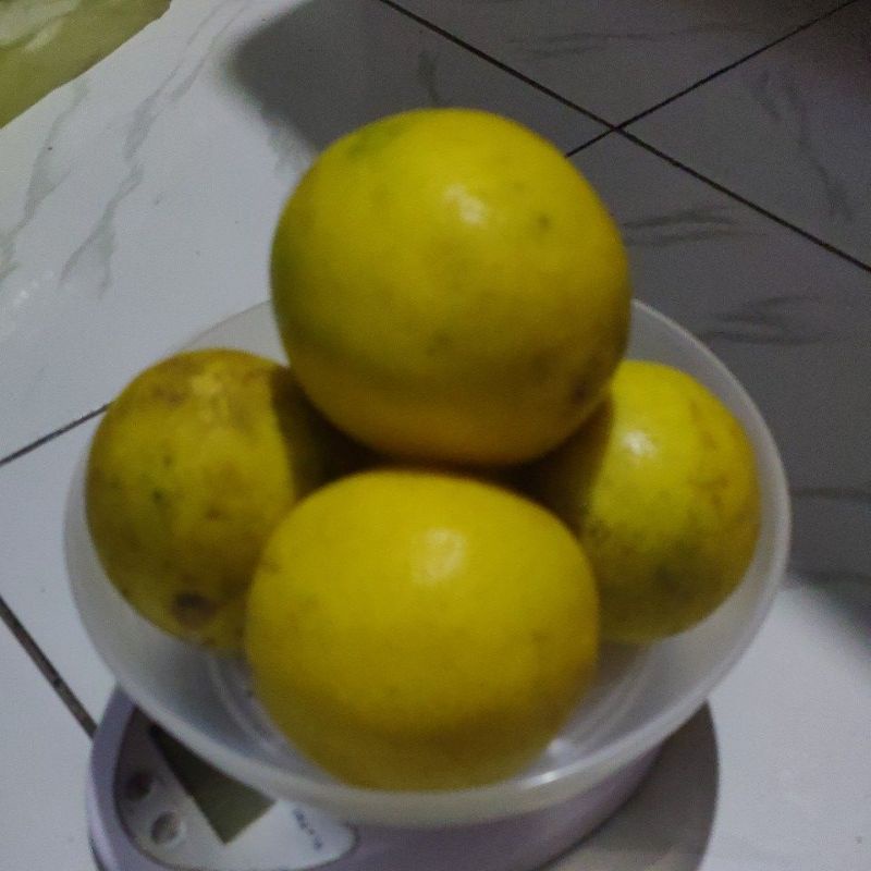 

Lemon amrik